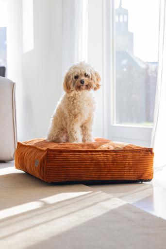 Produktbild Designed by Lotte Ribbed (Hund)