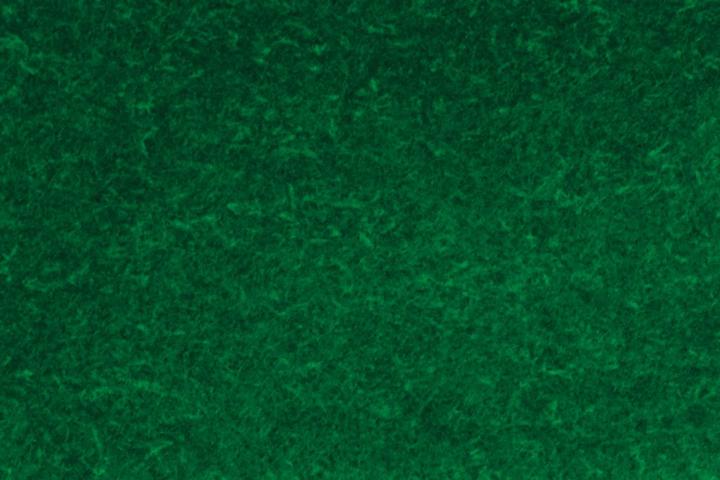 Image du produit Edding 3000 (Multicolore, 3 mm, 4 x)