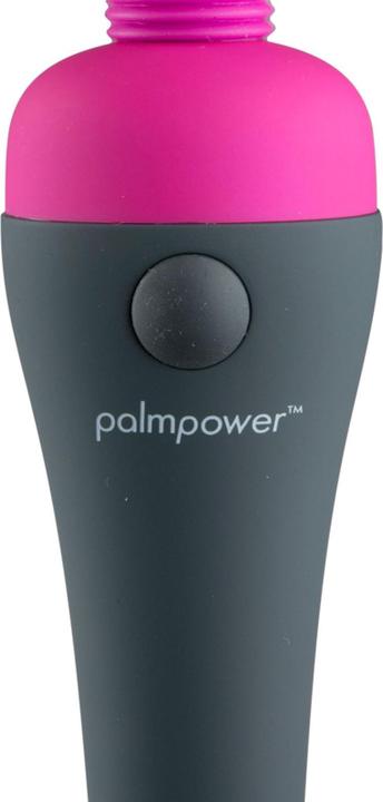 Actual product image Palmpower Massager