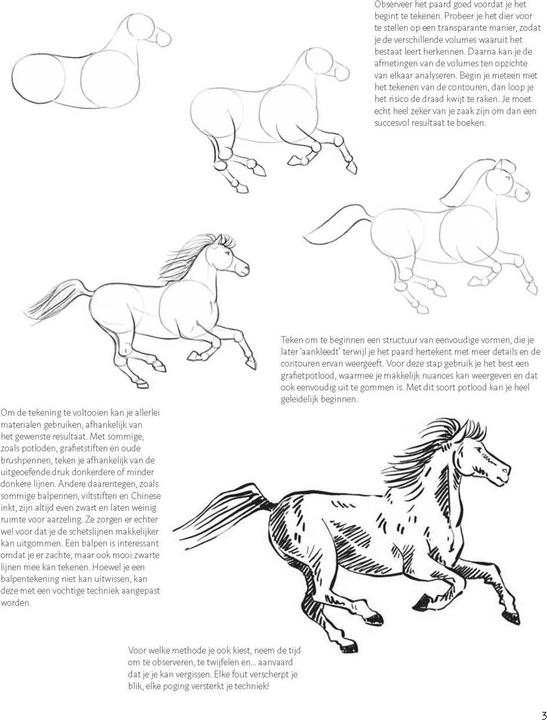 Actual product image Learn to draw horses step by step