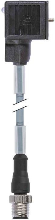 Actual product image Murr Elektronik Valve connector grey 7000-40881-2260030 Contents: 1 pc.