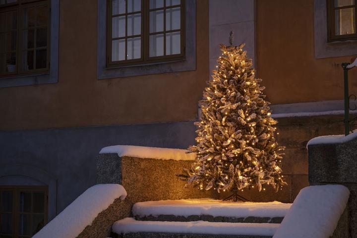 Image du produit Konstsmide Manteau d'arbre avec anneau (4 m)