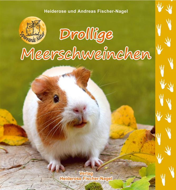 Image du produit Drôle de cochon d'Inde (Allemand)