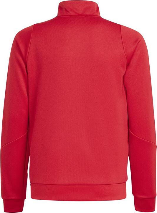 Actual product image adidas TIRO24 TRJKT Y (152)