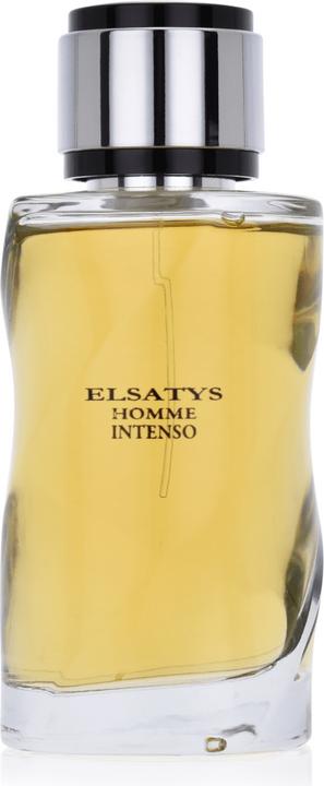 Produktbild Reyane Tradition Elsatys Homme Intenso EDP 100ml (Eau de Parfum, 100 ml)