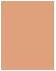 Actual product image Bourjois Always Fabulous 24H (200 Rose Vanilla)