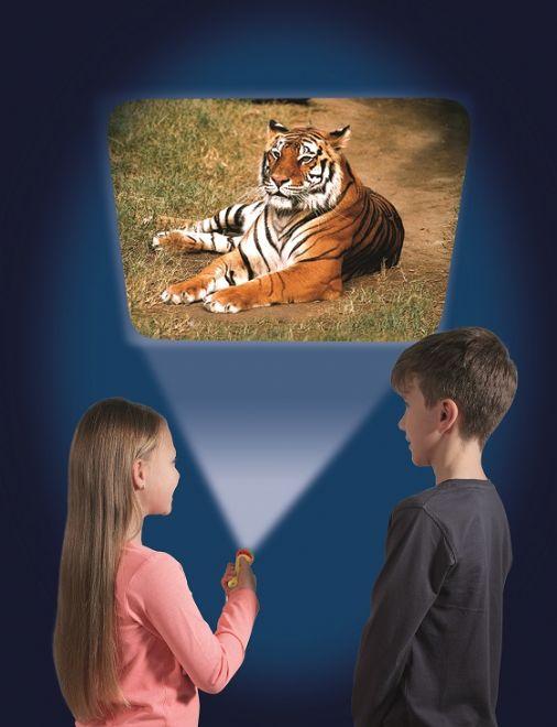 Image du produit Brainstorm Torche et projecteur d'animaux (Allemand, Français, Italien, Anglais)