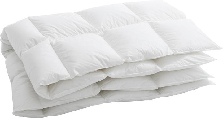 Immagine prodotto Billerbeck Edition Thea Clima Medium (800 g, 160 x 240 cm)