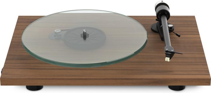 Walnut
