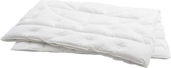 Billerbeck Edition Iglu 4-Saisons-Duvet (950 g, 160 x 210 cm)