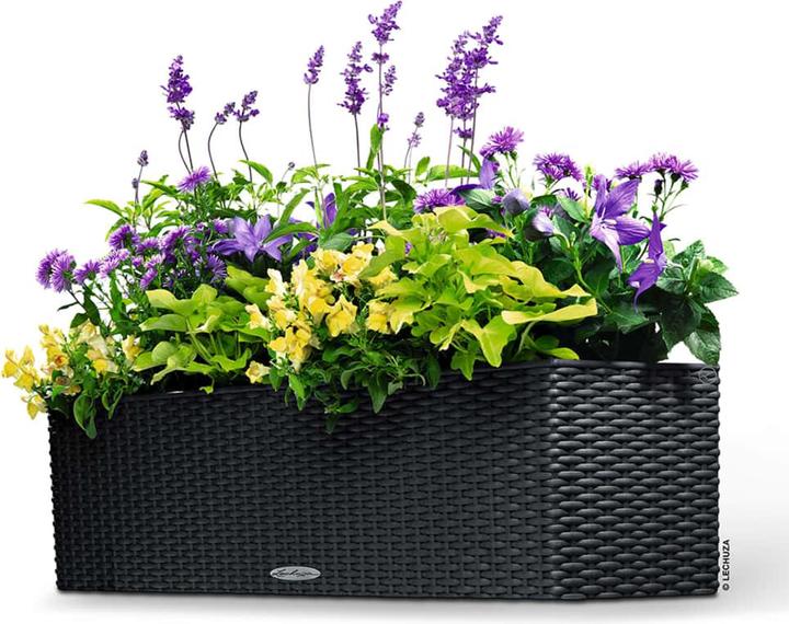 Immagine prodotto Lechuza Balconera Cottage (19 cm)