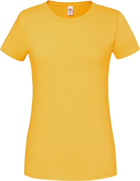 Fruit of the Loom Premium TShirt (XXL)