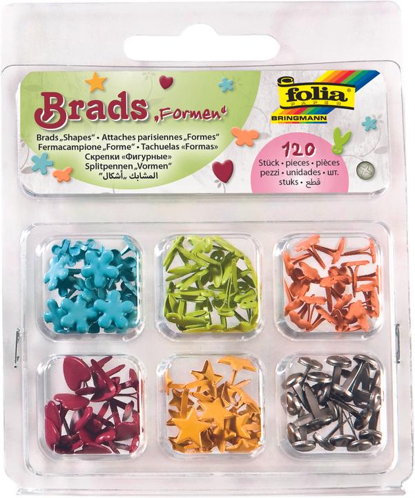Actual product image Folia Pattern clamps Shapes (120 x)