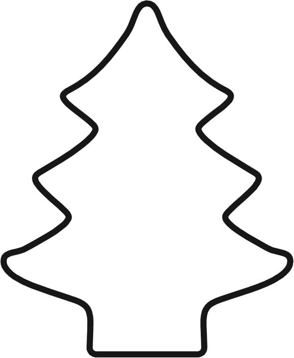 Actual product image Kaiser Fir tree
