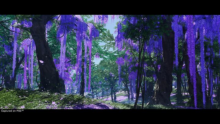 Produktbild Sony Ghost of Tsushima Director’s Cut (PS5, Multilingual)