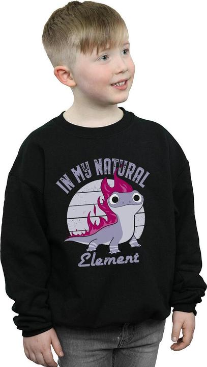 Produktbild Disney Frozen 2 Salamander Bruni Element Sweatshirt Jungen (128)