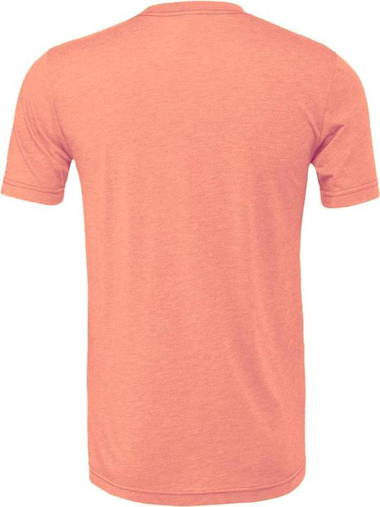 Actual product image Bella Canvas Adults Unisex Heather CVC T-Shirt (L)