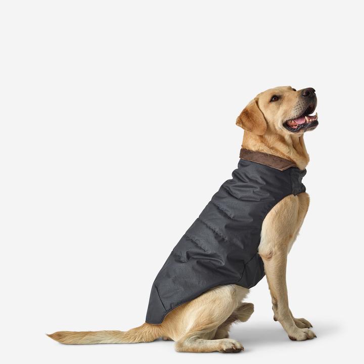 Image du produit Solognac Gilet pour chien gris chaud (S, Gilet pour chien)
