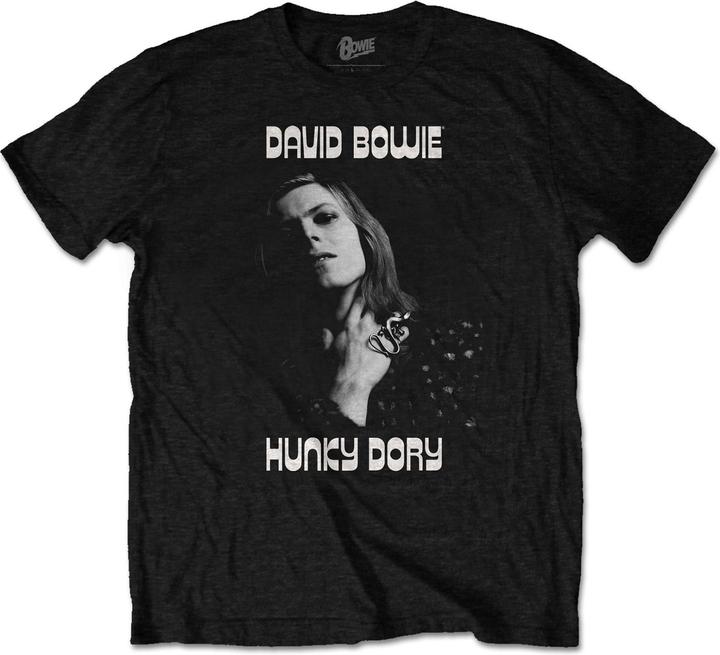 David Bowie Hunky Dory 1