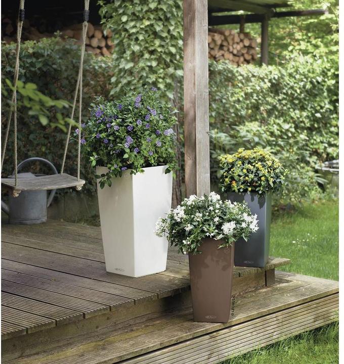 Image du produit Lechuza Cubico Color (22 cm)