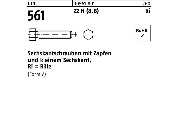 Immagine prodotto Vite a testa esagonale DIN 561 con codolo AM 12 x 35 22 H (8,8) (25 Viti per pezzo)