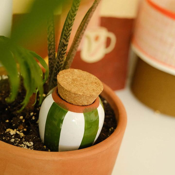 Immagine prodotto Pepin Olla (Cono di argilla)