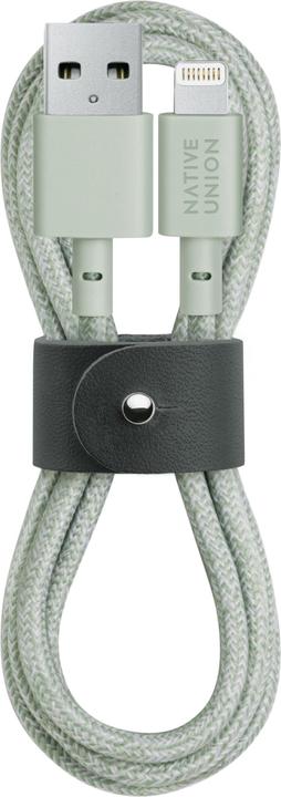 Native Union Belt USB-A zu Lightning-Kabel 1.2m Sage (1.20 m)