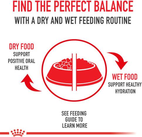 Produktbild Royal Canin Maine Coon (Adult, 1 Stk., 4000 g)