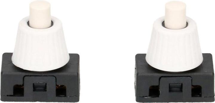Actual product image Max Hauri Built-in pressure switch 1-pole