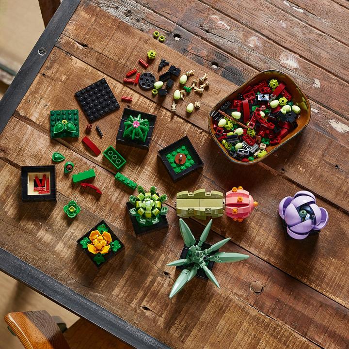Actual product image LEGO Succulents (10309, LEGO Botanical, LEGO Rare Sets)