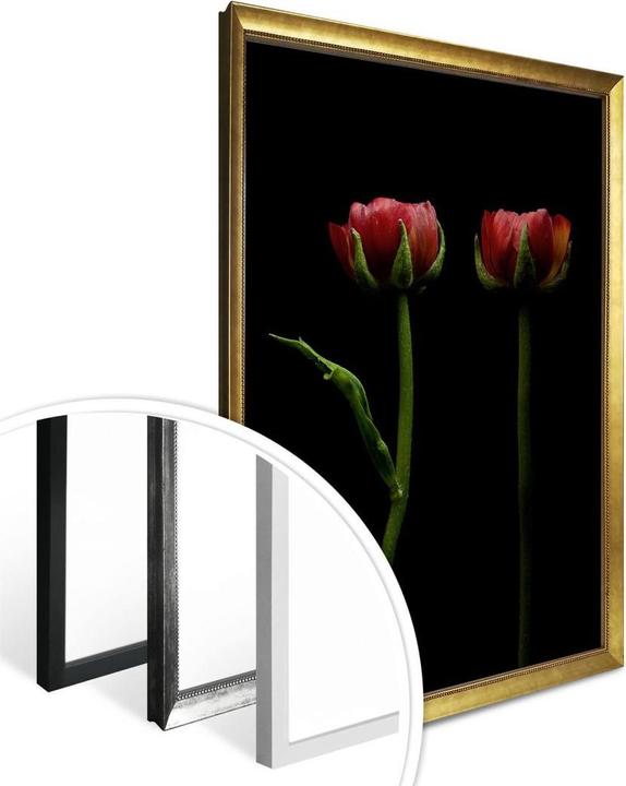 Actual product image Trenddeko Two red ranunculus (30 x 40 cm)