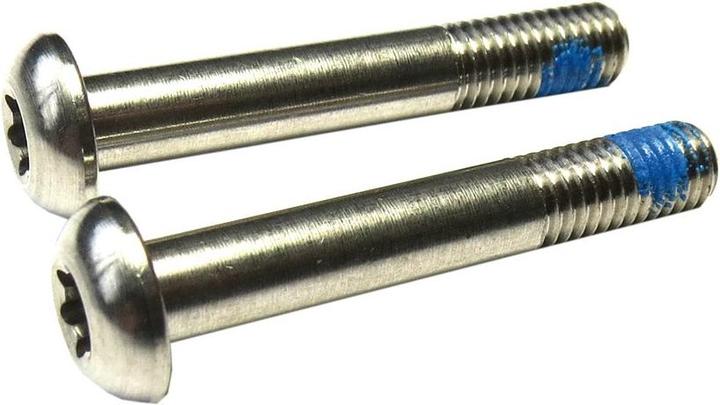 Actual product image Sram Bracket Mounting Bolts T25 Stainles 42mm Flatmount