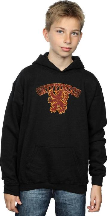 Actual product image Boys Gryffindor Sport Emblem Hoodie (140, 146)