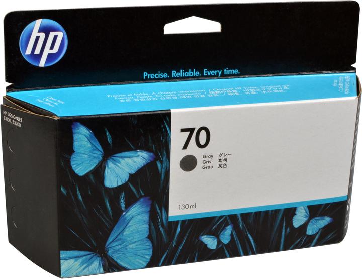 Actual product image HP 70 (GY)