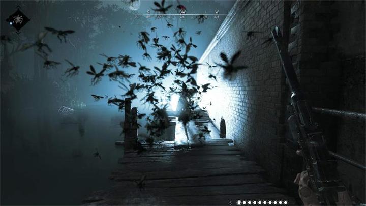 Image du produit Deep Silver Chasse : épreuve de force (PS4, DE)