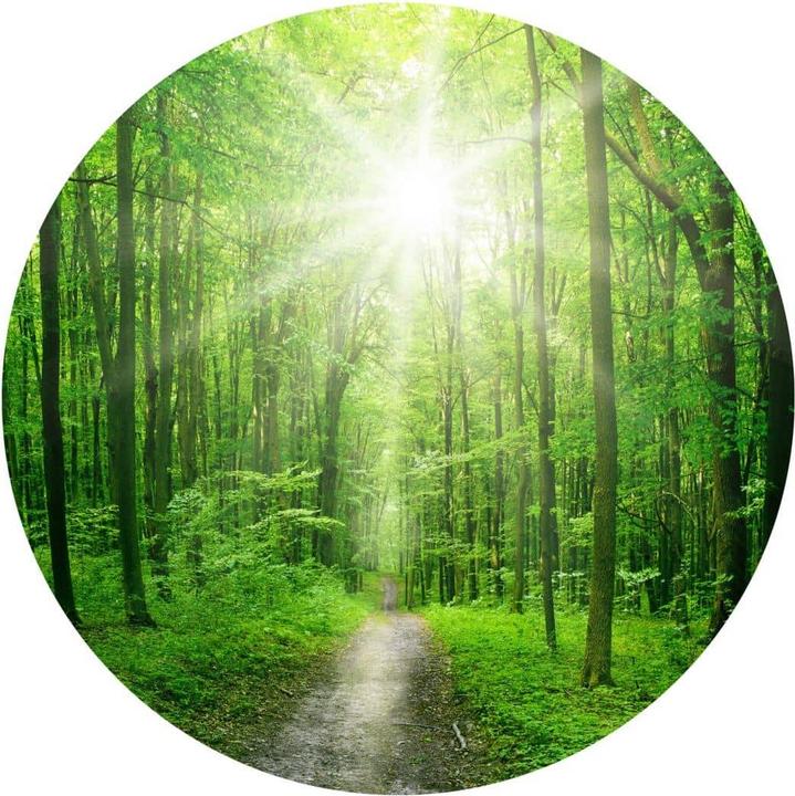 Image du produit Trenddeko Forêt ensoleillée (Ø 50 cm)