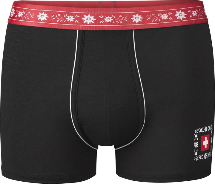 ISA Bodywear Panty Andy