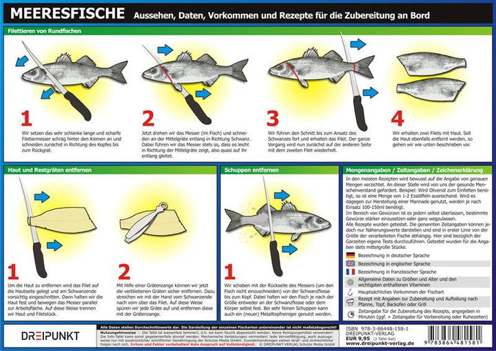 Immagine prodotto Info-Tafel-Set Meeresfische (Tedesco, Michael Schulze, 2013)