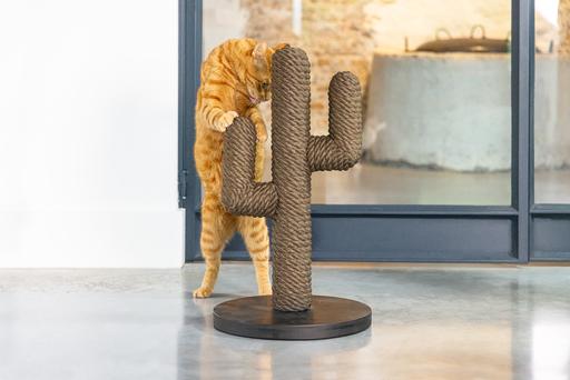 Actual product image Designed by Lotte Cactus (60 cm, Brown, Black, Dark brown)