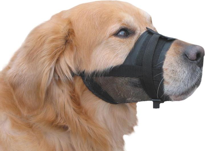Actual product image Nobby Muzzle adjustable (1, Dog, Dog sport)