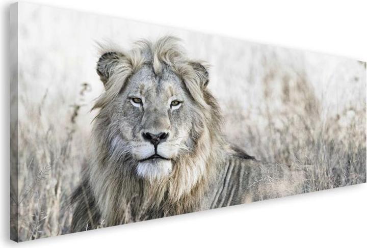Eibert Visual Il leone in campo (57 x 150 cm)