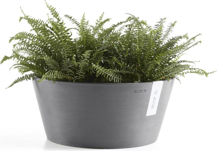 Actual product image Ecopots Frankfurt (50 cm)