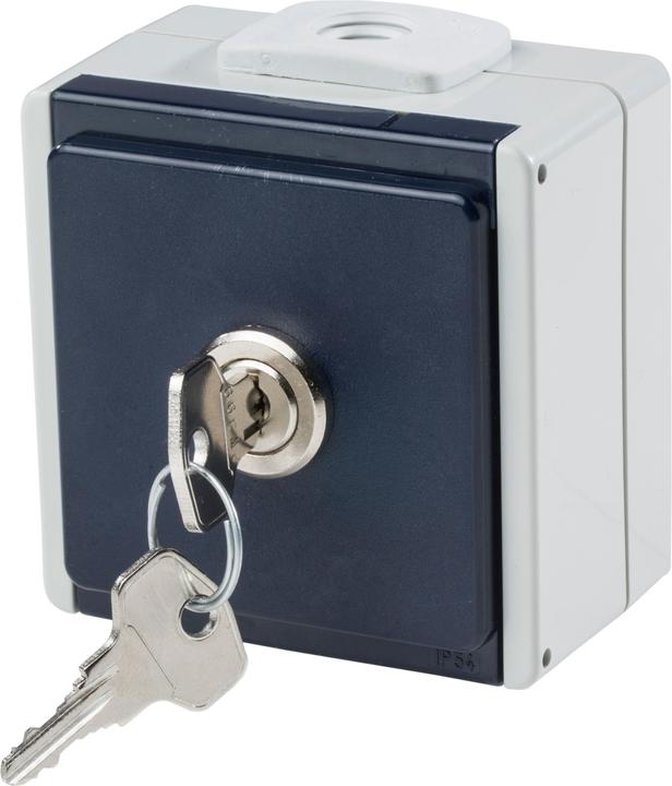 Actual product image As - Schwabe Aufputz-Steckdose