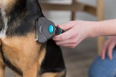 Image du produit Trixie Brosse Carding (Chien)