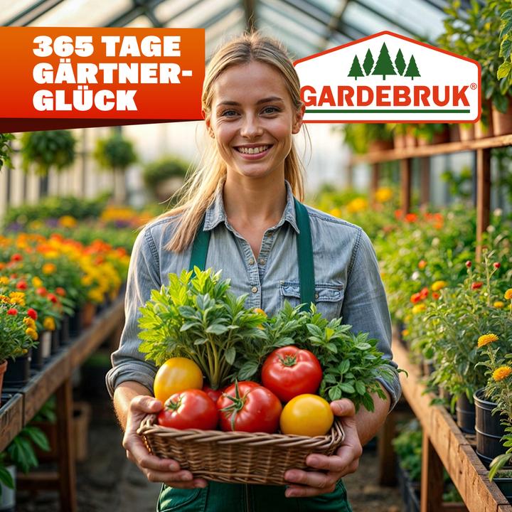 Actual product image Gardebruk Stahlfundament
