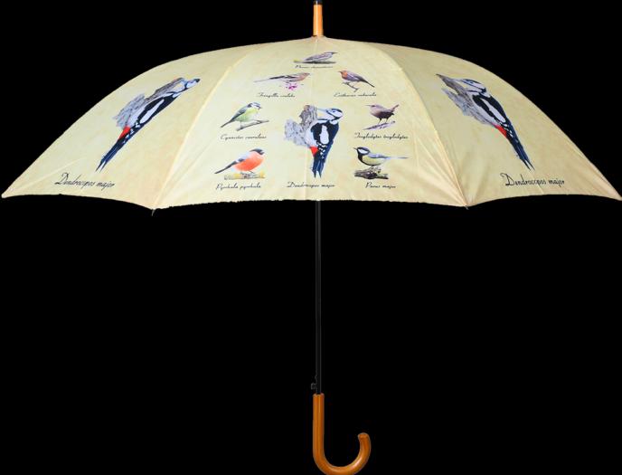 Produktbild Esschert Design Regenschirm Vögel