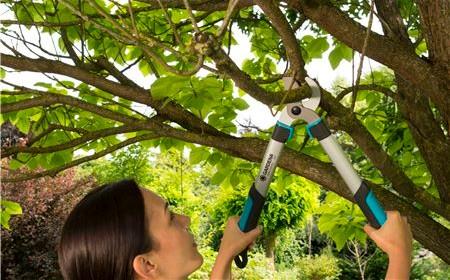 Actual product image Gardena Branch shears EasyCut 500B