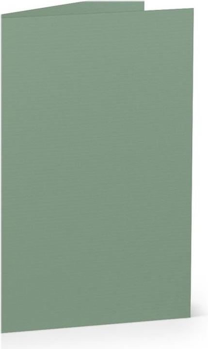 Immagine prodotto Rössler Biglietto da lettera Paperado eucalipto (1 pz.)