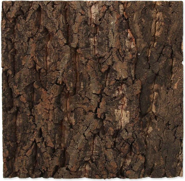 Repti Planet Kork-Rück Wand 28.5 x 28 x 2 cm