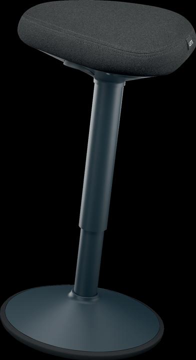 Produktbild Leitz Ergo Active